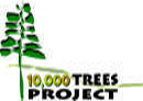 10,000 Trees